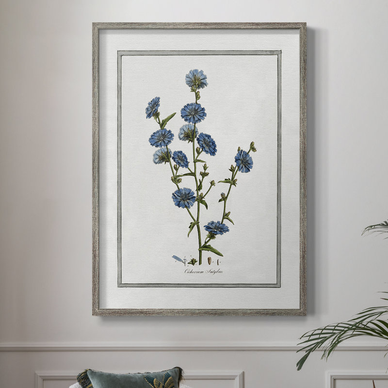 «Soft Botanical I», reproduction encadrée - bois massif, H 30 po x l 24 po