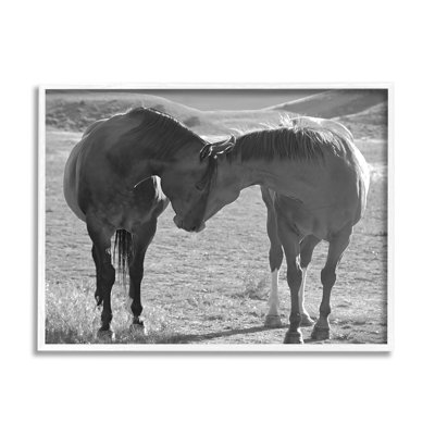 Chevaux étreignant la photographie par Steve Toole
