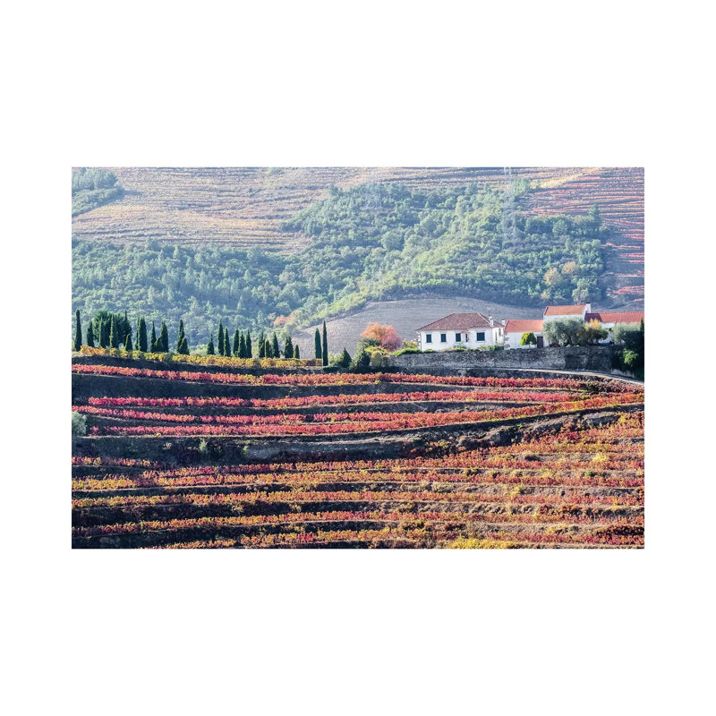 A Home Above the Vineyards on Terraced Hillsides Above the Douro River, Douro Valley, Portugal 1 Piece Wrapped Canvas Wall Art