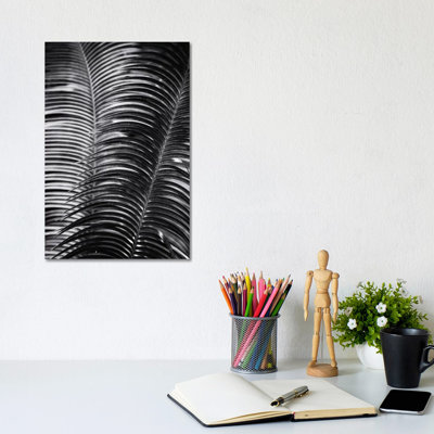 Tropical III by Aledanda - Wrapped Canvas Gallery-Wrapped Canvas Giclée
