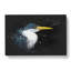 Pied Heron - Wrapped Canvas-56641618