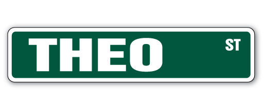 Plaque de rue Theo en plastique robuste 4 po x 18 po
