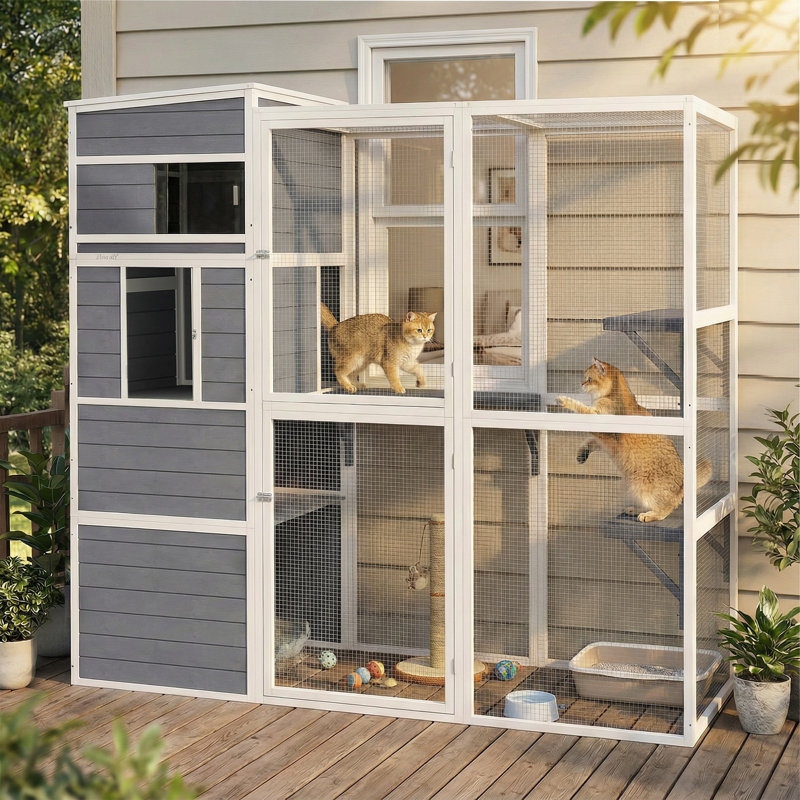 Cat Cage