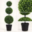 Lot de 2 arbres topiaires artificiels en buis à triple boule de 90 cm (3 pi) résistants aux UV