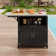Versatile Outdoor Cabinet with Multiple Functionalities and Mobility