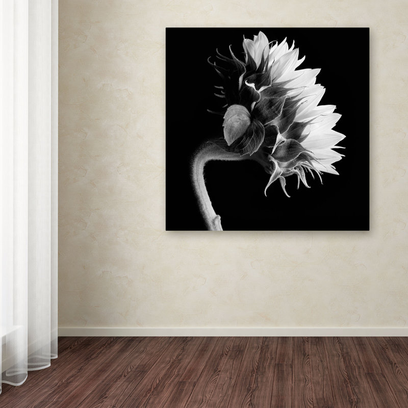 « tournesol », reproduction de photo sur toile tendue, H 14 po x l 14 po x P 2 po
