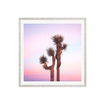 Desert Skies by Catherine McDonald