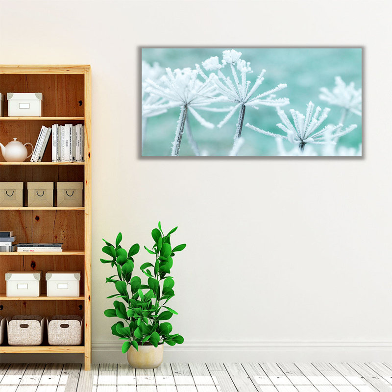 Frosty Cow Parsley - reproduction d'art sur toile, H 15 po x l 30 po