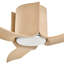 Ventilateur de plafond intelligent 54 "à DEL Hinkley Fan Sven-117666318-117666319