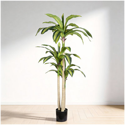 5' Artificial Dracaena Tree with Black Plastic Pot, 1pc/set