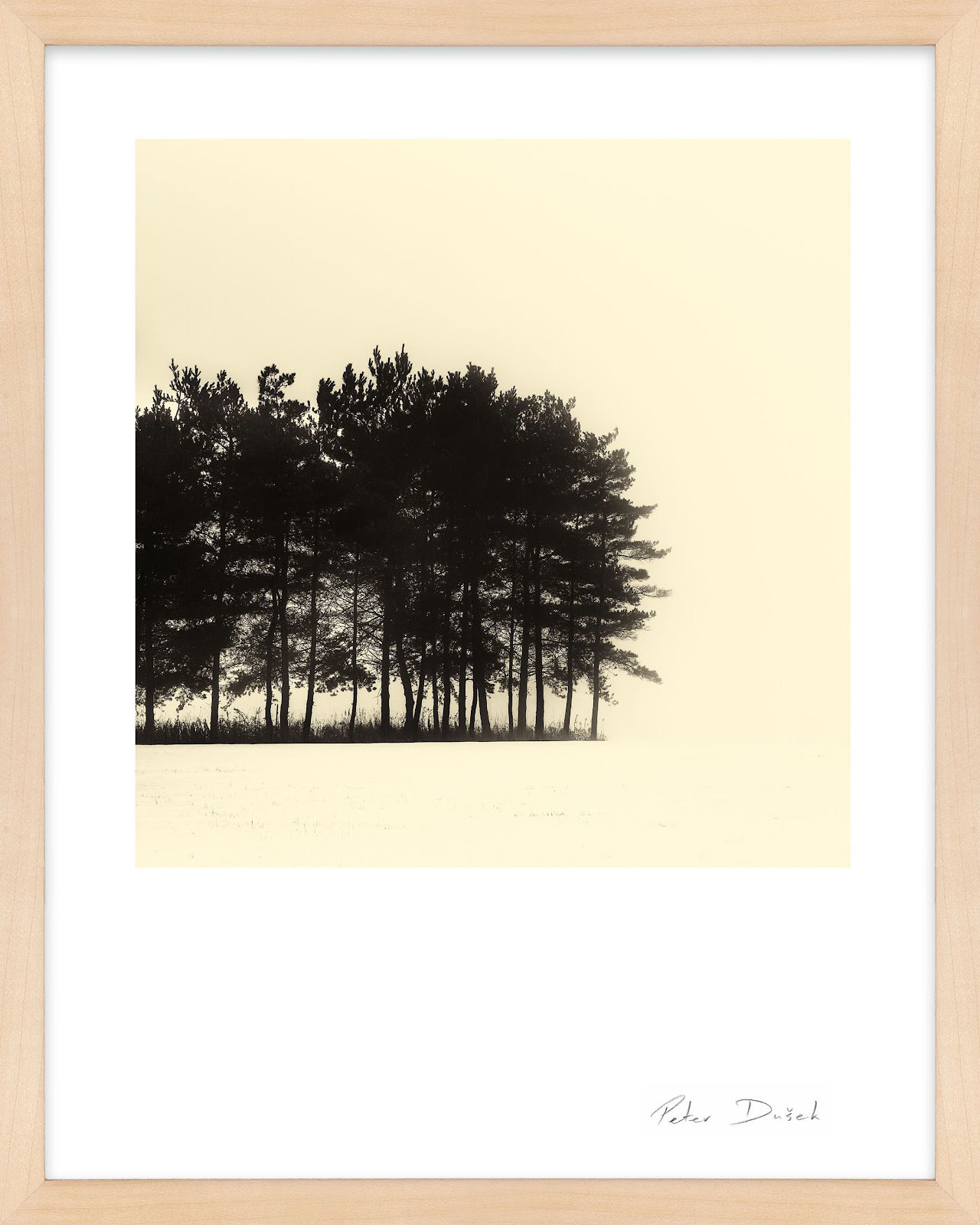 Copse by Peter Dušek, 50" H x 40" W x 1.25" D, Brown