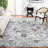Tapis oriental crème/argenté Barefield-2009654752