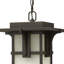 Manhattan 1-Light Outdoor Hanging Lantern-917570286