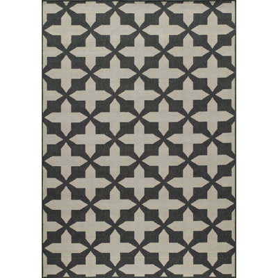 Tapis gris anthracite Ashleigh