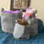Photos des clients 1 de 1