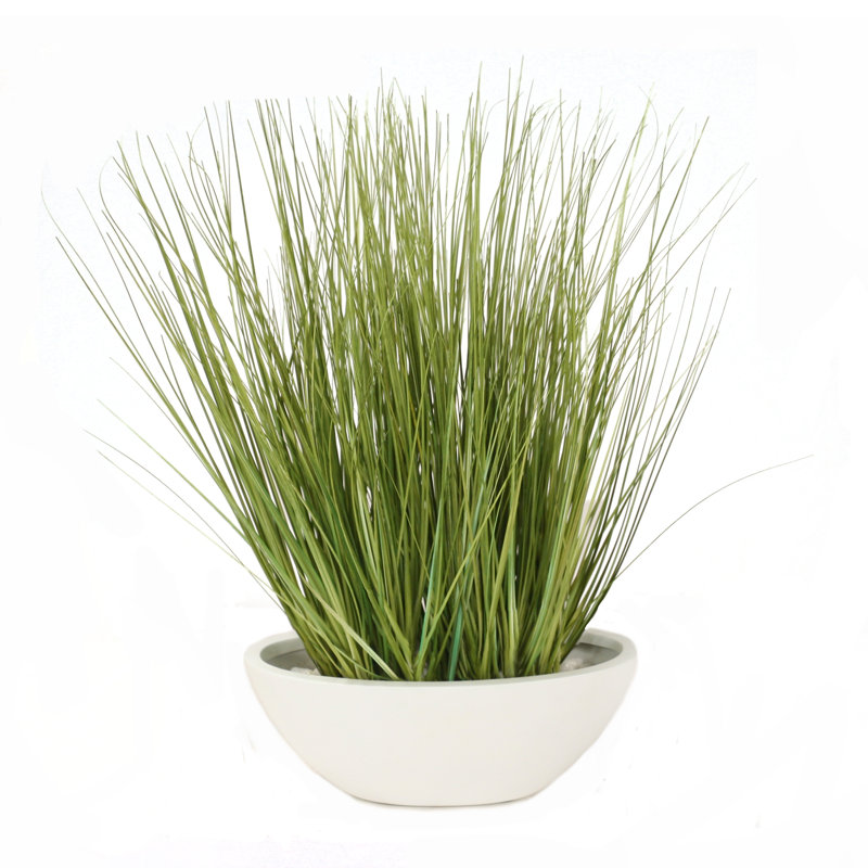 23'' Faux Foliage Grass in Ceramic Planter, White