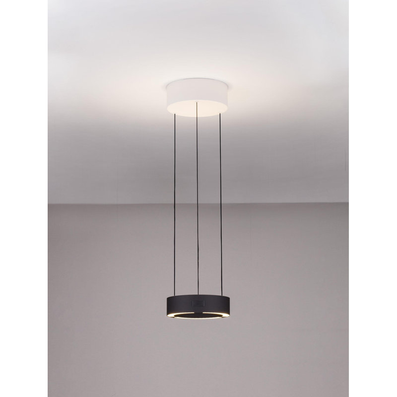 - Light Pendant