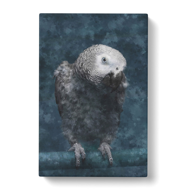 African Grey Parrot - Wrapped Canvas, 50cm H x 35cm W x 3cm D