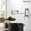 Robinet de cuisine mural-106265982