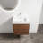 Aldo 24-Inch Wall-Mounted Vanity-1750804351