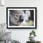 Koala Bear Vol.2 - Framed Print-62758510-62758514