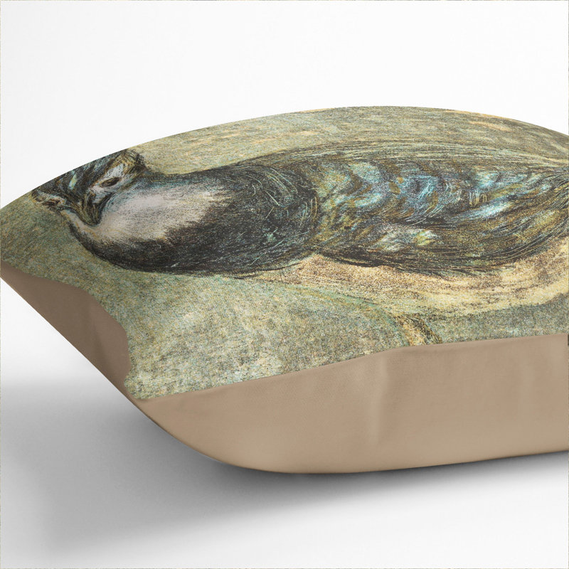 Kievit Bird Scatter Cushion with Filling, Stone, 55cm H x 55cm W x 20cm D