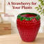 Strawberry Decorative Planter