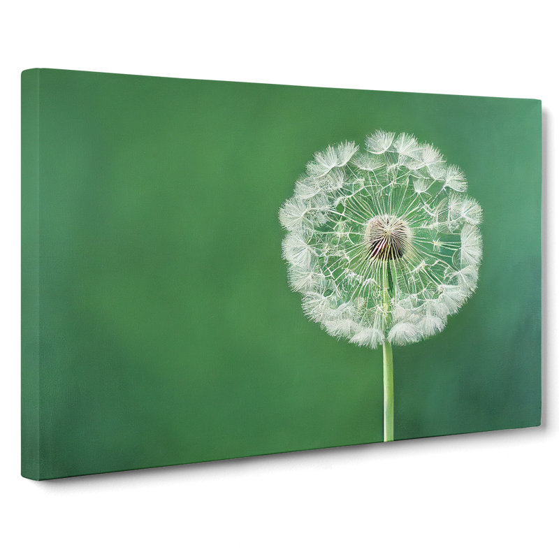 Excellent Dandelion Flower - Wrapped Canvas, 50cm H x 76cm W x 3cm D