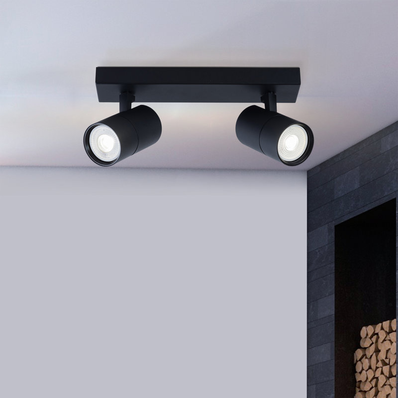 Avonleigh Spotlight, Black