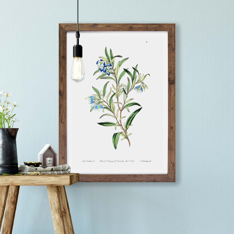 Bluebell Flowers - Framed Print, 24cm H x 33cm W x 2cm D, Walnut