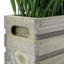 Johnone 22.09 cm Artificial Grass in Planter