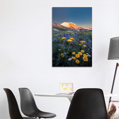 Alpine Wildflowers Dwarf Lupine, Tolmie's Saxifrage And Alpine Daisy by Gary Luhm - Wrapped Canvas Print