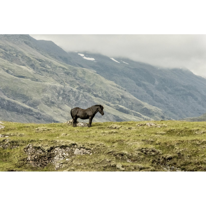 Standing Alone by Danny Head - Photograph, 20 cm H x 30 cm W, Wrapped Canvas