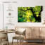 Kerrick Forest Sunburst-108967691