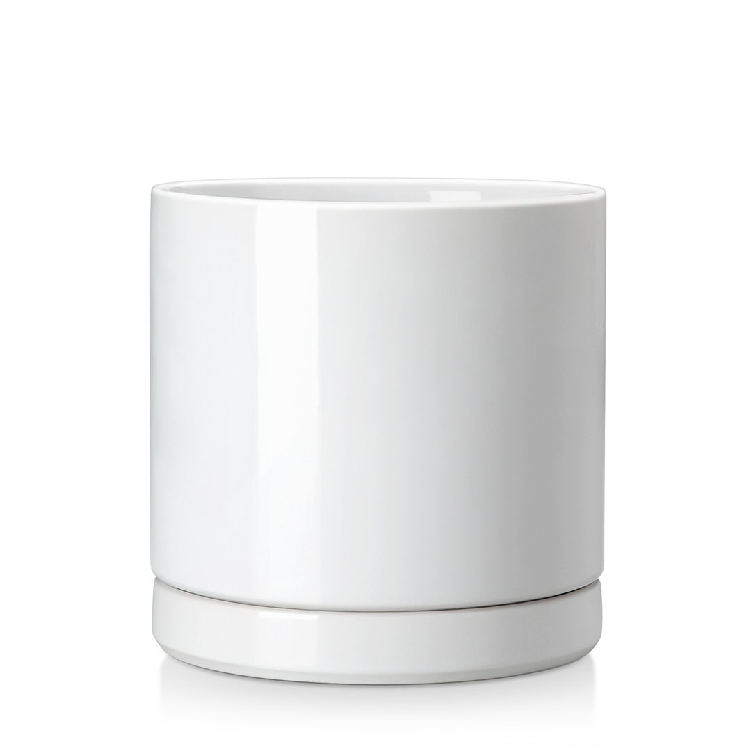 Ceramic Plant Pots