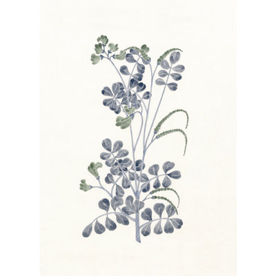 Art Prints