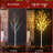 LED Lighted Trees & Branches