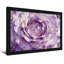 Plantes et fleurs, aquarelle de rose mauve-662326668-662326665-662326664