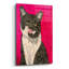  «Pink Tuxedo» par Bebe Keith, art mural en verre acrylique, 12 po x 16 po