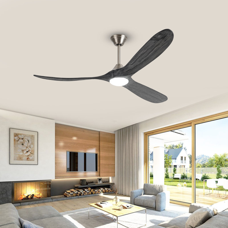 Christela Netrapal Ceiling Fan with LED Lights, 70"