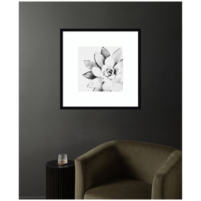 Reproduction d'art moderne encadrée, "Modern Succulent" par Tai Prints