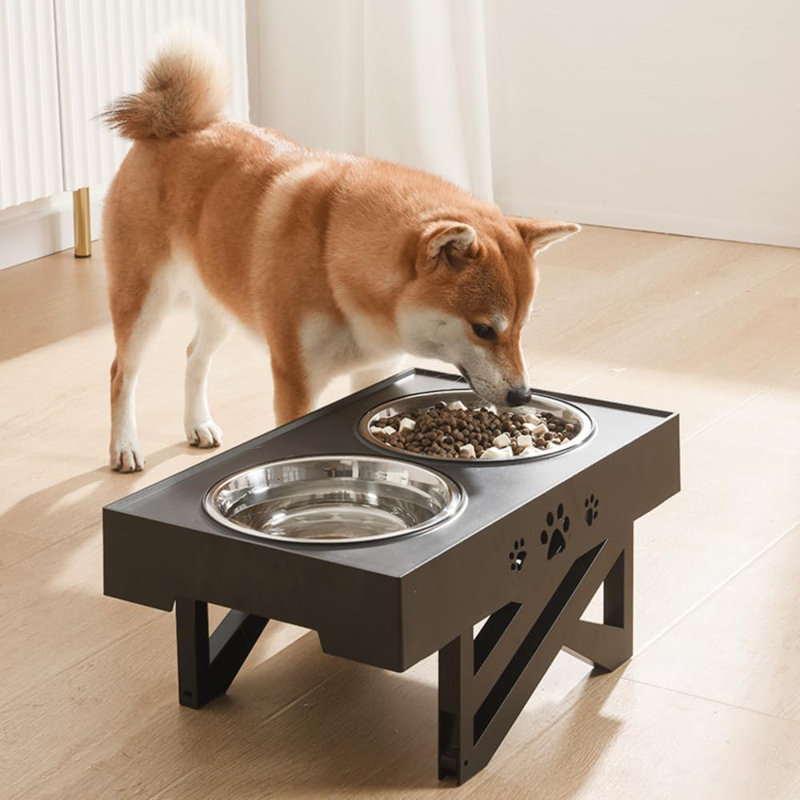 Elevated Feeder