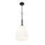Luminaire suspendu 1 lumière Naya-1914542043-1914542021