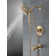 SAYLOR™ Monitor® 17 Series Tub & Shower Trim with In2ition®