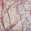 Teng Fei's Autumn Mist