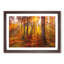 Mystery Forest - Picture Frame Graphic Art Print-56861061-56861065