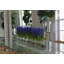 Centre de table Orchids-1442417781-1442417778