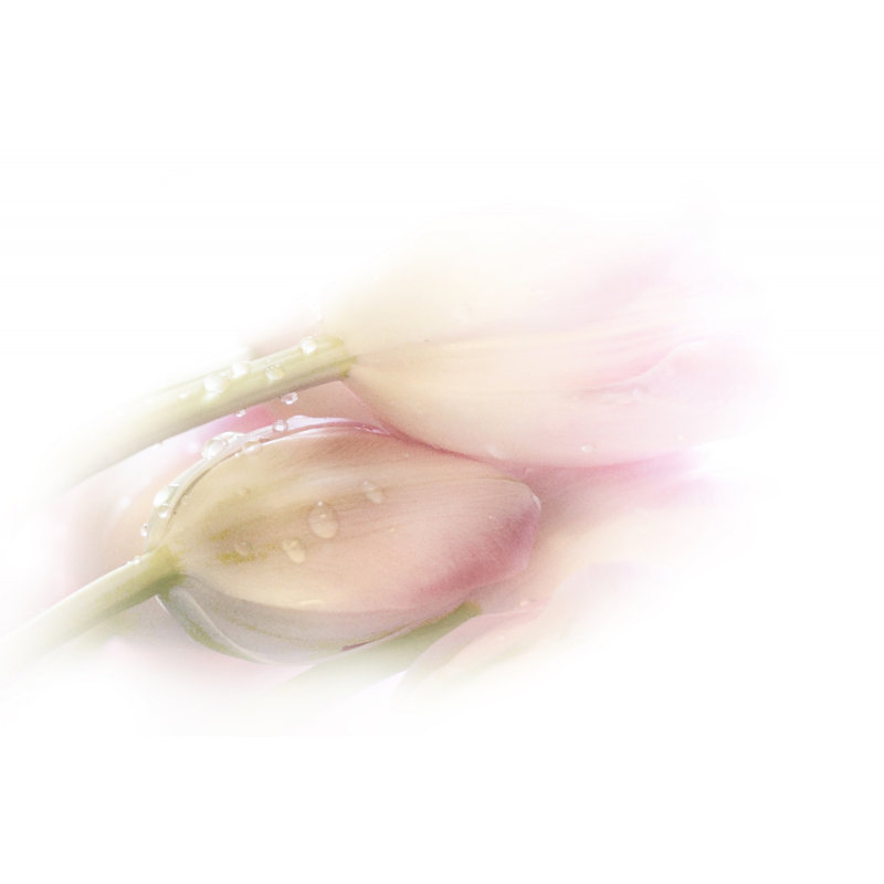 Wrapped Canvas Print, 91.44 cm H x 60.96 cm W
