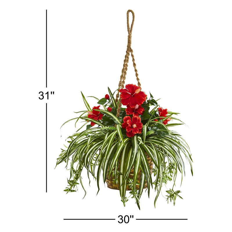 Hibiscus Hanging Basket Arrangement in Basket