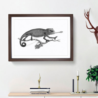 Chameleon in Black & White by George Shaw - Framed Print